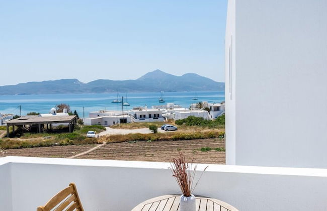 Ippocampos - Foto 48