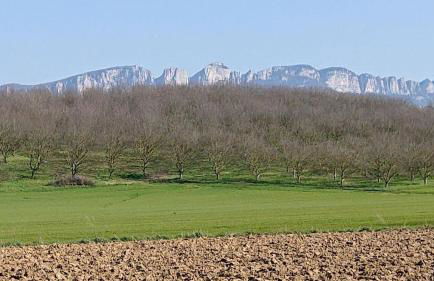 Au contact de la nature - Foto 1