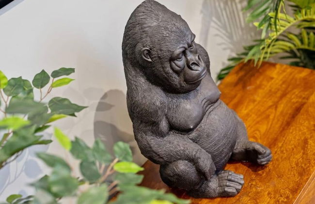 Host Apartments Upper Duke Street Apartment - Foto 16