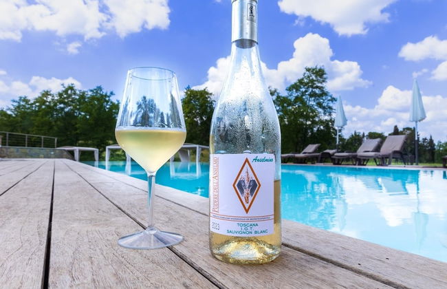 Podere dell'Anselmo - Foto 65