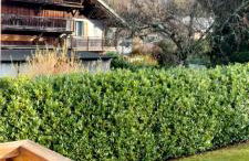 3 chambres - 2 SDB - 7 personnes - 100 m télécabine GME - Photo 8