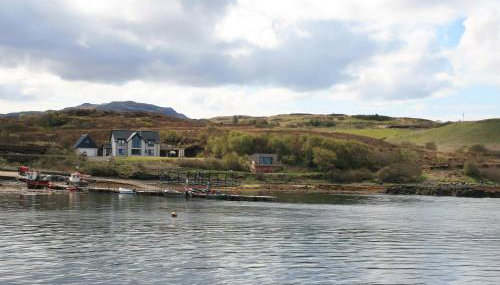 The Duckling - Photo 4