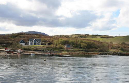 The Duckling - Foto 4