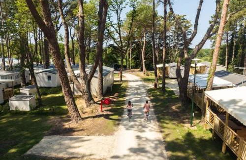 MysavinaHouse mobilhome 4 à 6 pers camping 4 Etoiles - Foto 25