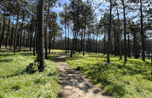 Onda Beach House - Foto 22