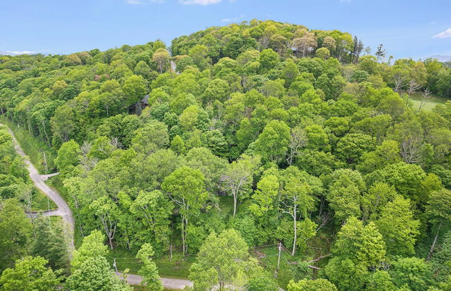 Deck w/ Forest Views, Ping Pong Blue Ridge Mtn Escape Ash Vale by Avantstay - Foto 38