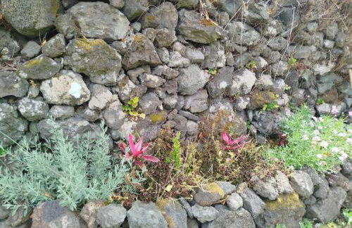 Bragada Stonehouse - Photo 63