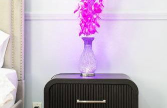 Nightingale In Boston - Foto 5