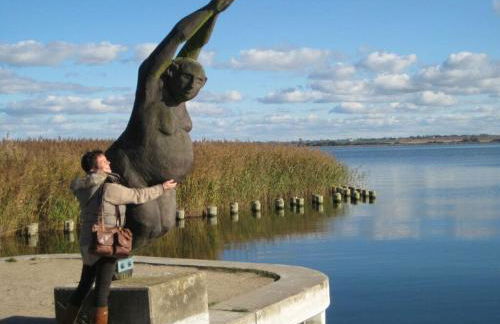 Comfortable holiday house near Lake Kummerow - Foto 47