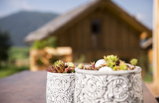 Lerchpeuntgut - Foto 52