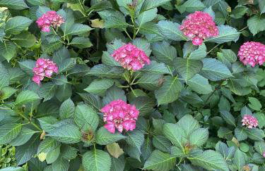 Dom wakacyjny Pawelkowo - Foto 37