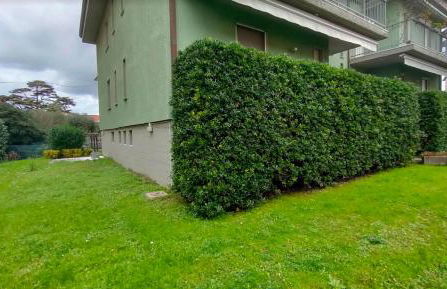 CASA MARE E RELAX Liguria di Levante - Foto 21