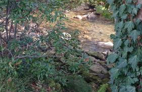 Apartamentos la casa de los ríos - Foto 17