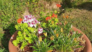 A casettuccia santu petru - Foto 3, Garden