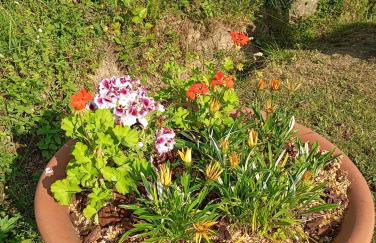 A casettuccia santu petru - Foto 3