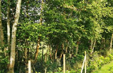 Villa Carmen - Foto 13