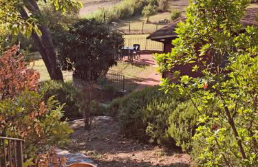 La Gufaia - holiday houses with pool near Florence - Foto 60