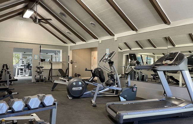 Surrey Resort - Foto 15