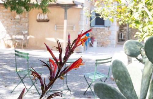 Sophia Areopoli Town Square - Foto 6