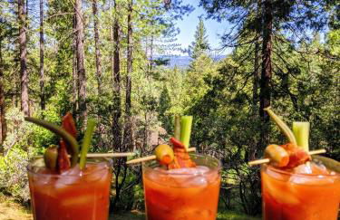 Breckenridge Chalet near Yosemite. Dog friendly! - Foto 17