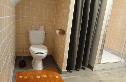 Les Hortensias - Foto 15