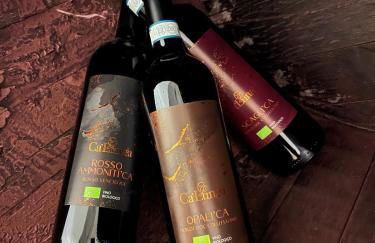 AZIENDA AGRICOLA CA' LUNGA - Foto 29