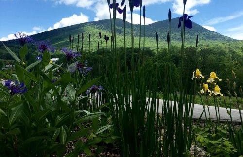 Private Rustic Cabin with Ski-In and Ski-Out Access in Jackson, New Hampshire - Foto 29