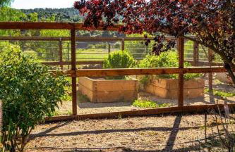 Ojai Valley - Pool and Pickle Ball - Foto 12