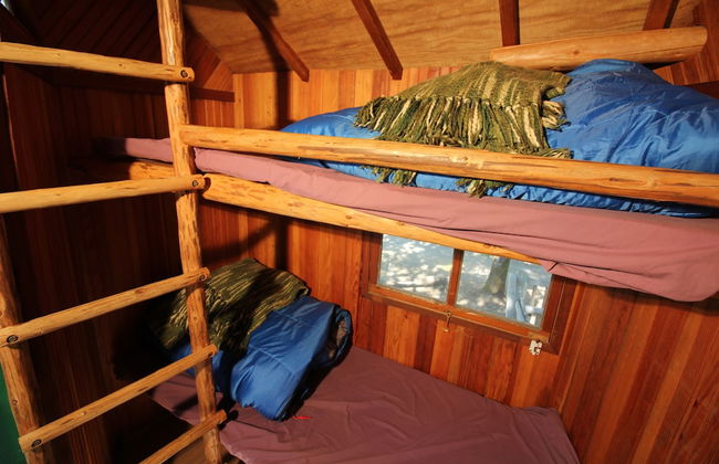 Out 'N' About Treehouse Treesort - Photo 29