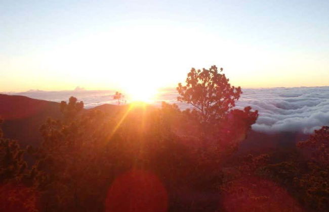 Trekking de 3 días por el Pico Duarte - Foto 5