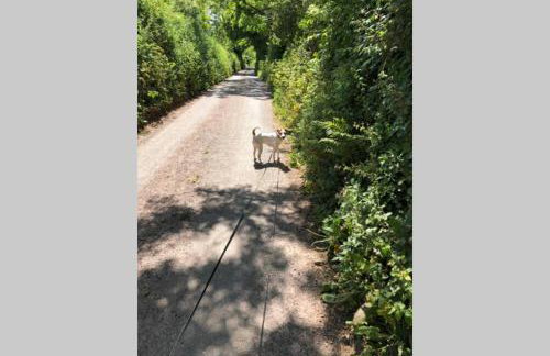 Cornerside, a character apartment in Stokeinteignhead, South Devon - Foto 15