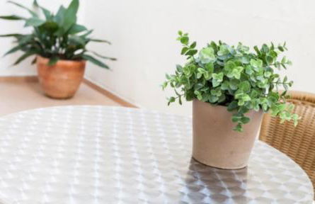 BcnStop Parc Güell - Foto 76