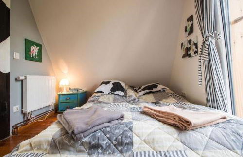 BERG WELT im Erzgebirge - Photo 43