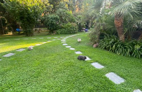 Villa Angelina Holiday Homes I Casa Limone I A pochi chilometri da Sanremo e il suo Festival I Giardino I Parcheggio privato - Photo 32