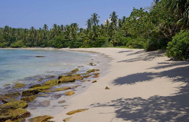 Elevated Family Beach House With Ocean Views - Foto 31