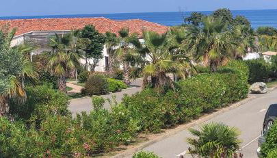 Casa Giul' Poggio Mezzana - Foto 2