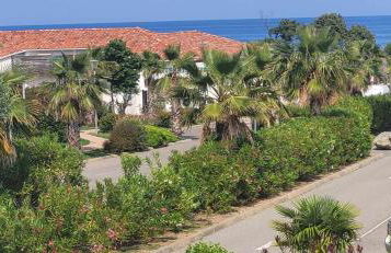 Casa Giul' Poggio Mezzana - Foto 2