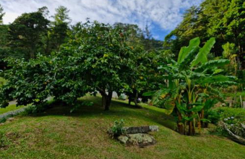 Chácara em Nova Friburgo (espaço inteiro) - Foto 15
