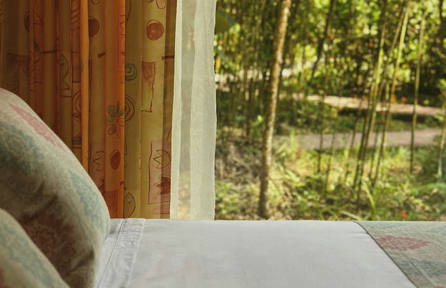 HOSTERIA KUMBHA MELA - Foto 8