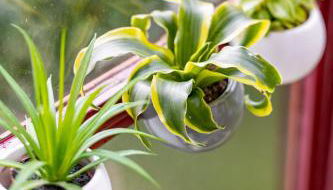 Au cœur des Remparts de Guérande: logement pour 4 - Foto 5