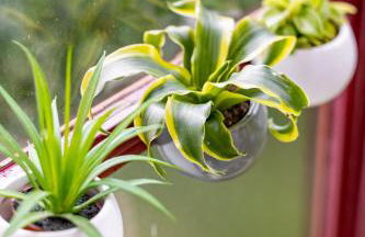 Au cœur des Remparts de Guérande: logement pour 4 - Foto 5
