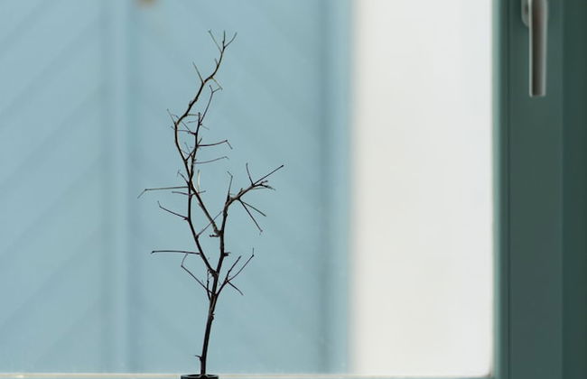 Valsamo Suites - Foto 37