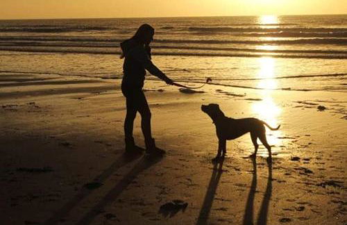 Bridge View Victorian Townhouse Central Aberystwyth Sleeps 6 - Foto 37