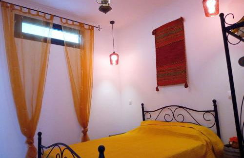 Lazy Lizard by the Ocean - Foto 20