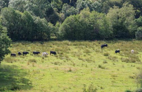 Lee House Cottage - Photo 58