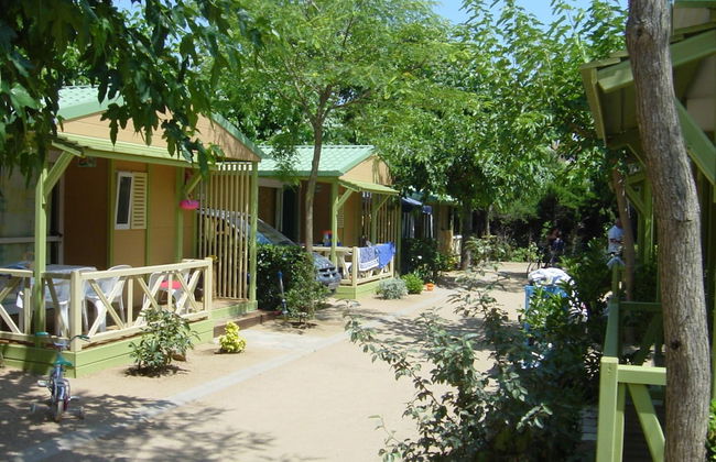 Camping La Masia - Foto 16