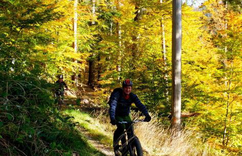 Dom Geologa - Foto 65