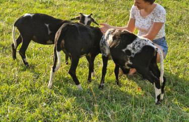 Ferienwohnung Arnika - Foto 14