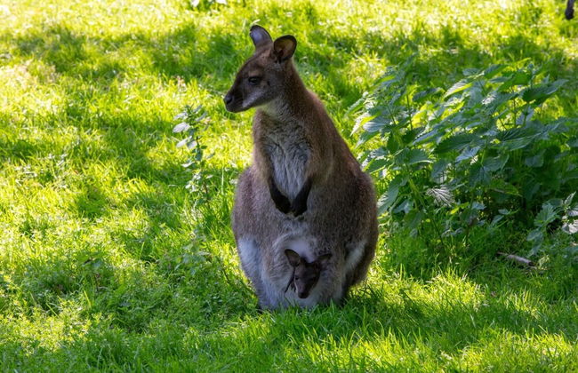Cozy 4-person Stay at Rustenpolder - Photo 23