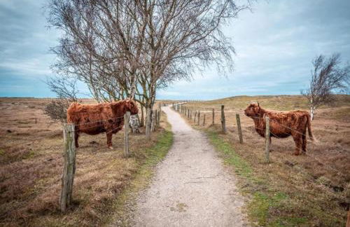 Ferienhaus in der Naehe der Ostsee - Foto 54